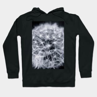 Dandelion Detail Hoodie